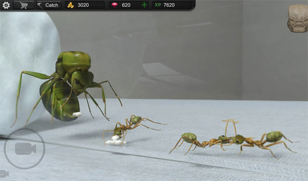 蚂蚁模拟大亨汉化版下载-蚂蚁模拟大亨汉化版2023最新下载