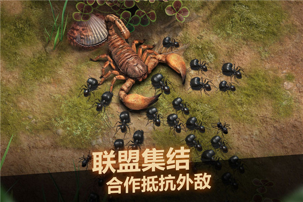 小小蚁国下载安装-小小蚁国最新版中文版下载v1.45.0 小小蚁国下载安装-小小蚁国最新版中文版下载v1.45.0