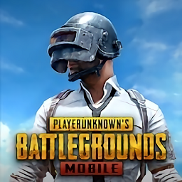 绝地求生刺激战场亚服(PUBG MOBI...