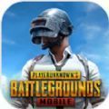 绝地求生手游国际服(PUBG MOBIL...