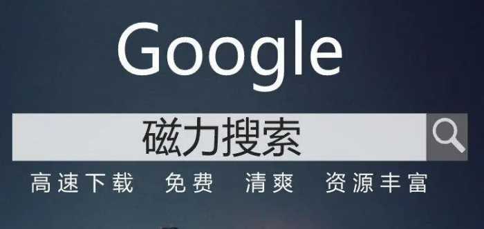 内置浏览器的磁力搜索app大全