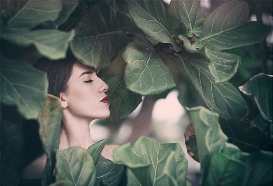 国际人体摄影教程