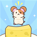 奶酪仓鼠(Cheese Hamster)