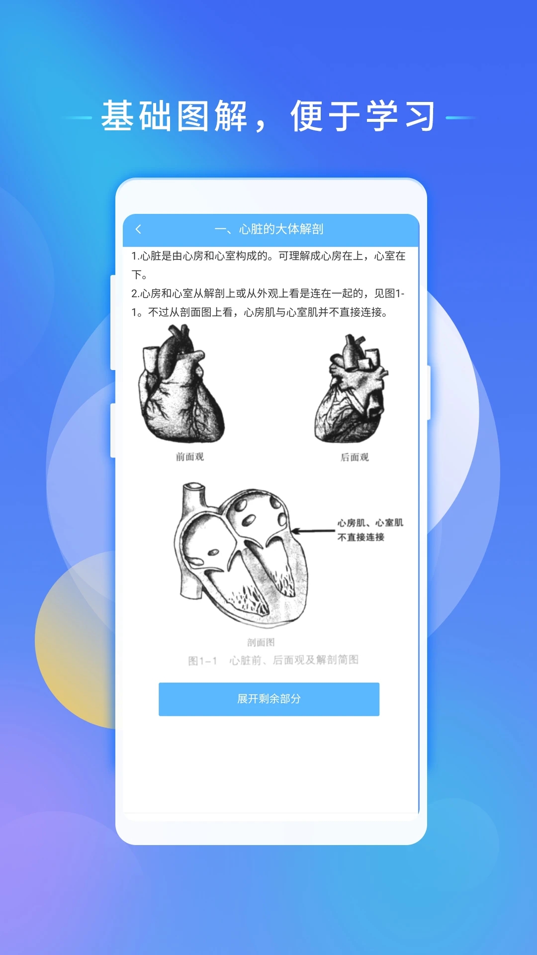 0.webp (55).jpg