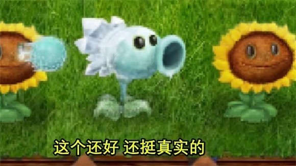 14165503yf9u.jpg