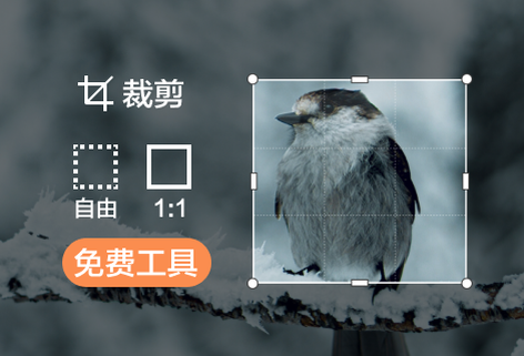 免费裁剪图片尺寸大小