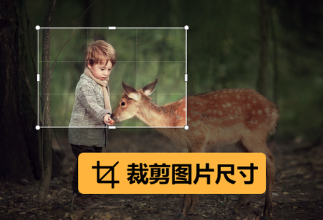 在线裁剪图片尺寸