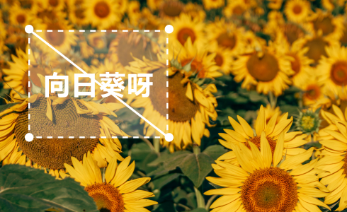 消除视频中的水印-去除视频中不需要的部分