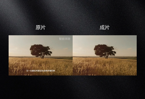 智能自动去除水印或字幕