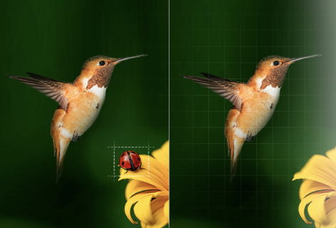 轻松去除图片中的全部遮挡物