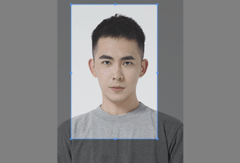 在线证件照裁剪编辑器