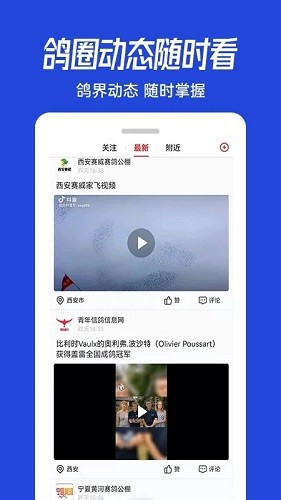青鸽网app下载-青鸽网安卓版下载v3.9.13