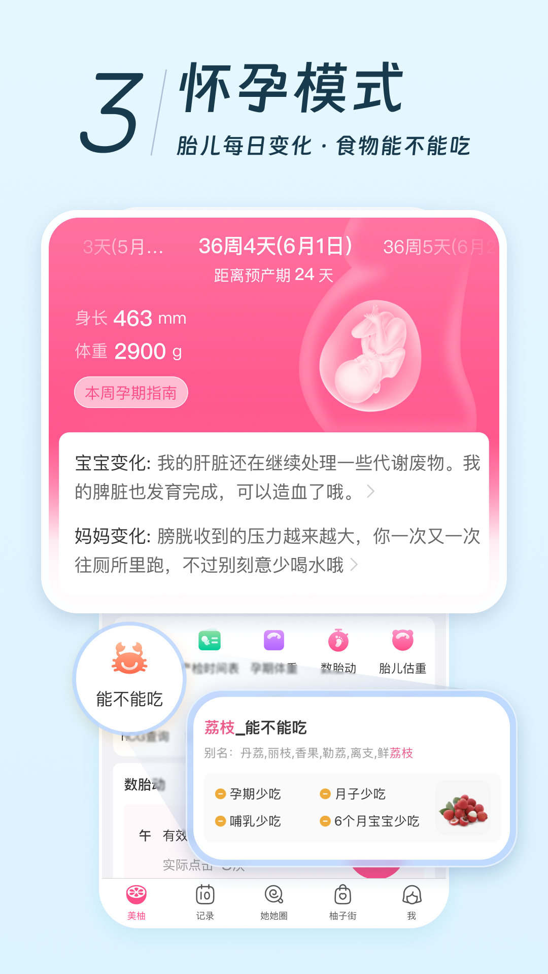 美柚app免费下载-美柚下载v8.66.0.0
