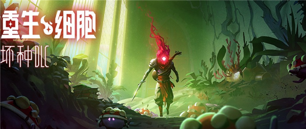 重生细胞怎么获得符文