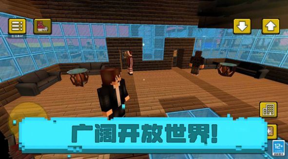 小小像素人单机版