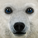 终极北极熊模拟器(ArcticSim)