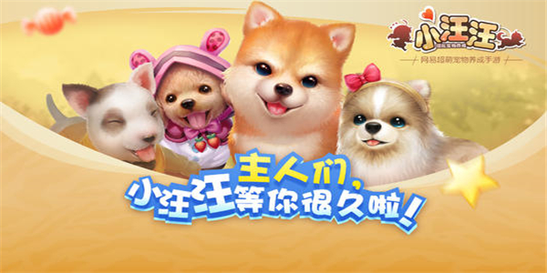 最火的养宠物游戏大全