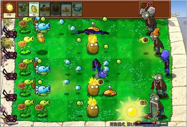 植物大战僵尸杂交版2.1通关存档