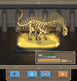 我的化石博物馆最新版 我的化石博物馆最新版