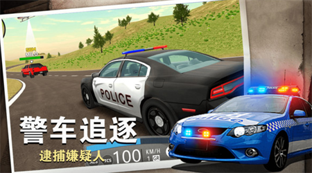 警察行动
