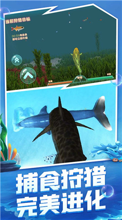 海洋霸主进化记
