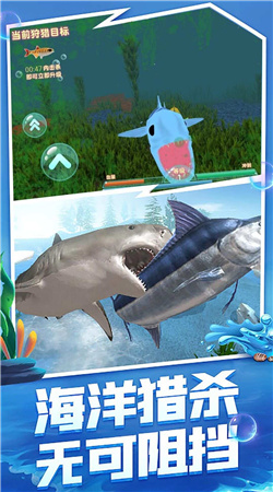 海洋霸主进化记