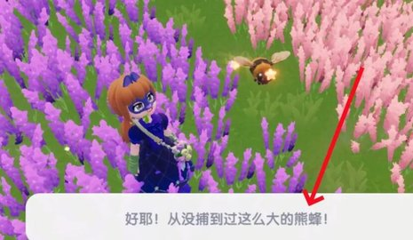 心动小镇幽光章鱼在哪里钓-心动小镇幽光章鱼捕获方法一览 心动小镇幽光章鱼在哪里钓-心动小镇幽光章鱼捕获方法一览