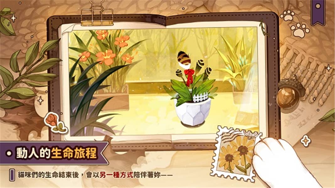 猫逝中文版 猫逝中文版