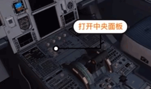 专业飞行模拟器10最新版