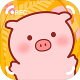 美食家小猪的大冒险无限果实版