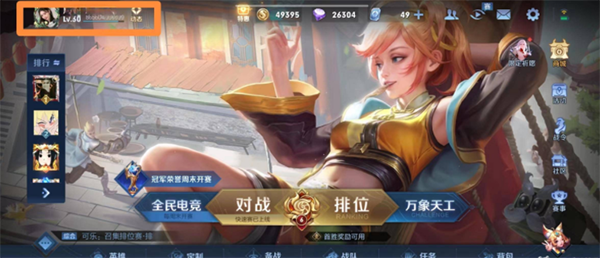 王者荣耀生涯徽章等级怎么看-王者荣耀生涯徽章等级查看方法