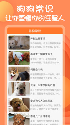 动物语言翻译器