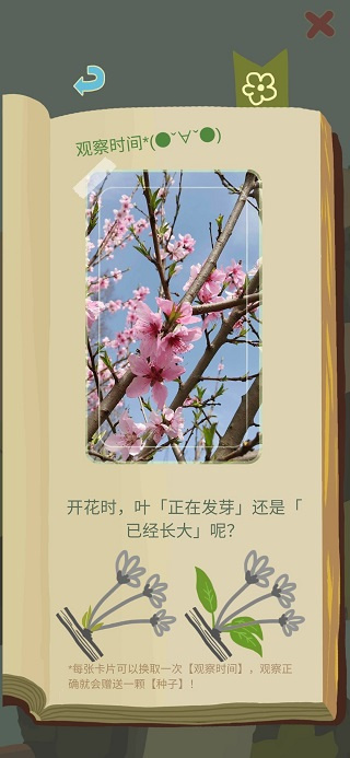 老农种树内置菜单最新版 老农种树内置菜单最新版