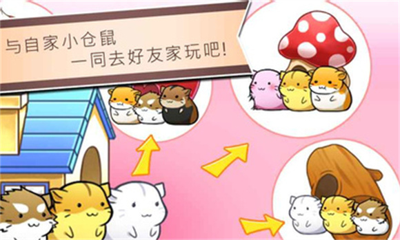 仓鼠的日常无限金币奶酪版