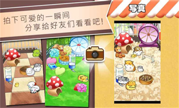 仓鼠的日常无限金币奶酪版