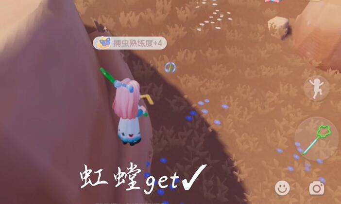 心动小镇如何捕虫-心动小镇捕虫攻略