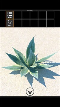 海上荒岛逃生游戏最新版 海上荒岛逃生游戏最新版