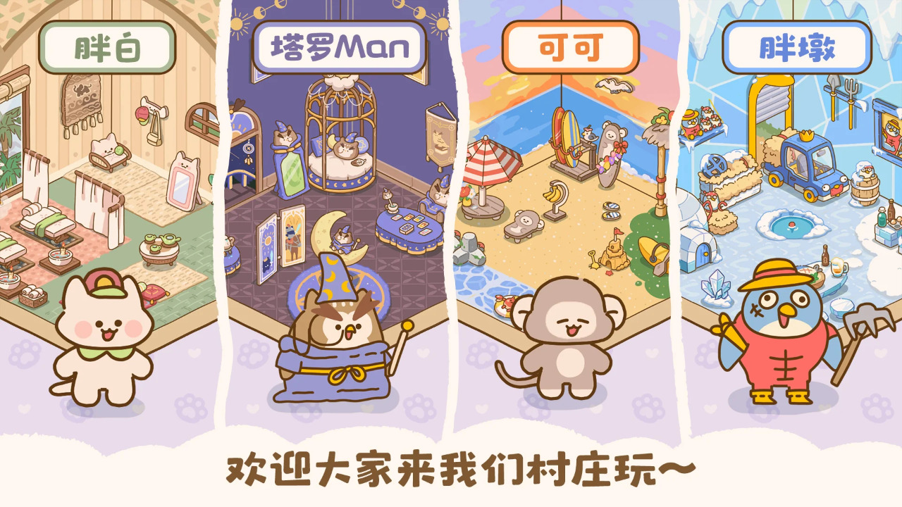 喵喵食谱日记