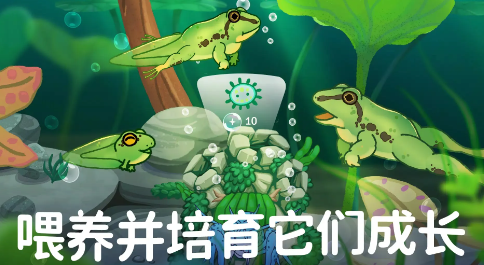 池趣游戏