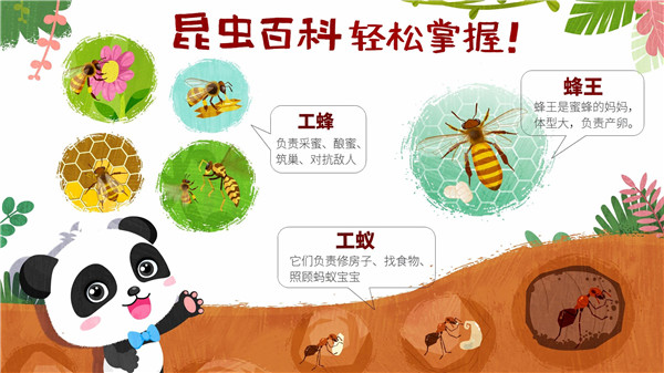 奇妙昆虫世界游戏手机版 奇妙昆虫世界游戏手机版