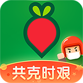 叮咚买菜安卓版