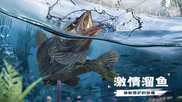 天天钓鱼无限金币最新版