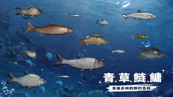 天天钓鱼无限金币最新版