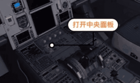 专业模拟飞行10手机版 专业模拟飞行10手机版