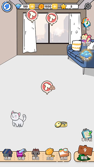 猫咪小舍 猫咪小舍