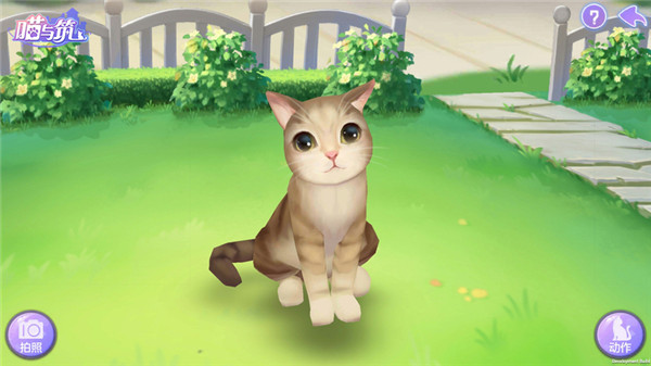 喵与筑无限猫爪版 喵与筑无限猫爪版