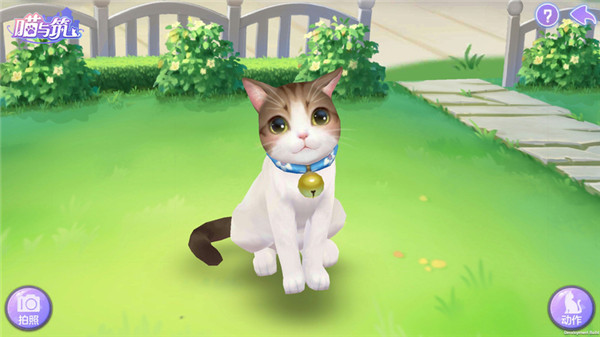 喵与筑无限猫爪版 喵与筑无限猫爪版