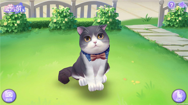 喵与筑无限猫爪版 喵与筑无限猫爪版