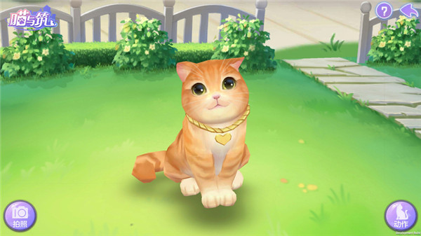 喵与筑无限猫爪版 喵与筑无限猫爪版