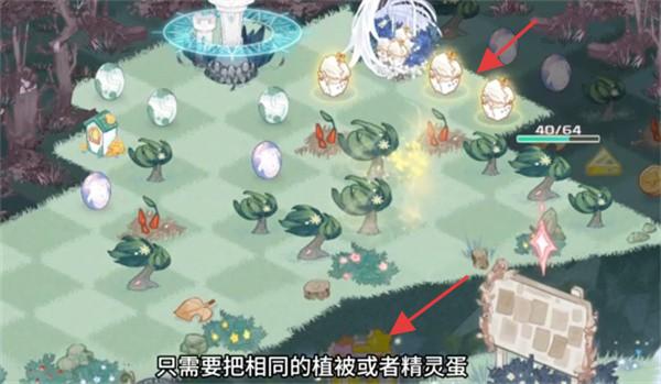 奇幻森林岛2025